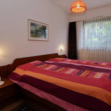 Apartment C10 Orselina